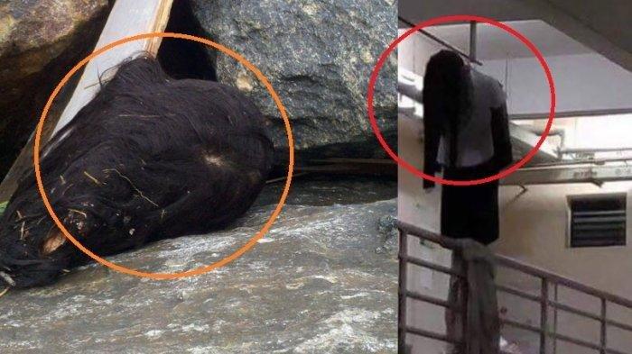 Detail Gambar Yang Dapat Menipu Mata Nomer 11