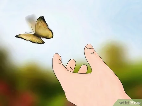 Detail Gambar Yang Terkait Moth Nomer 25