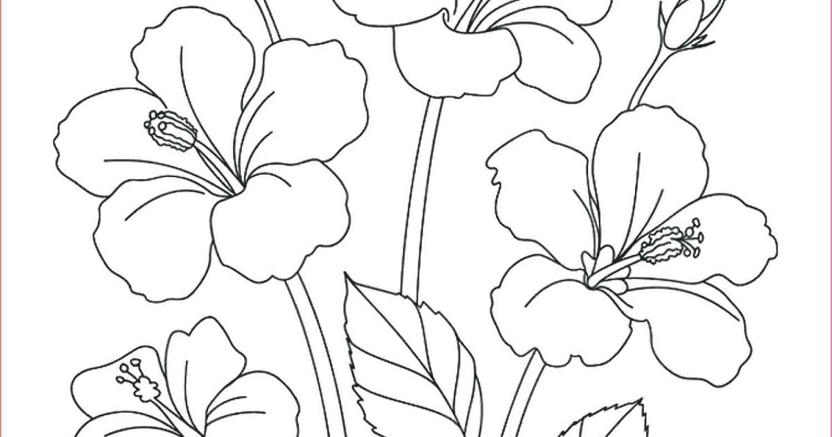Detail Gambar Yg Bagus Dan Mudah Nomer 40