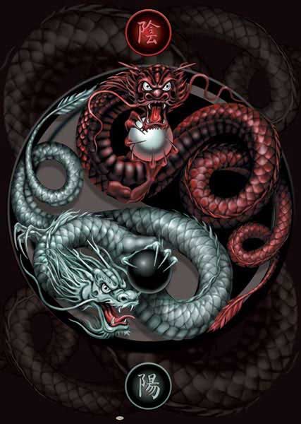 Detail Gambar Yin Yang Dragon Nomer 35