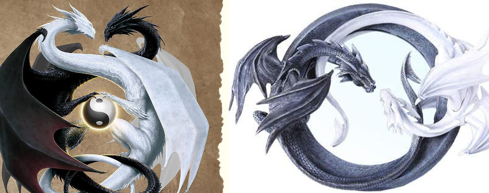 Detail Gambar Yin Yang Dragon Nomer 38