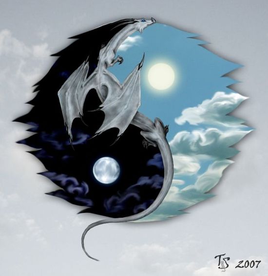 Detail Gambar Yin Yang Dragon Nomer 8