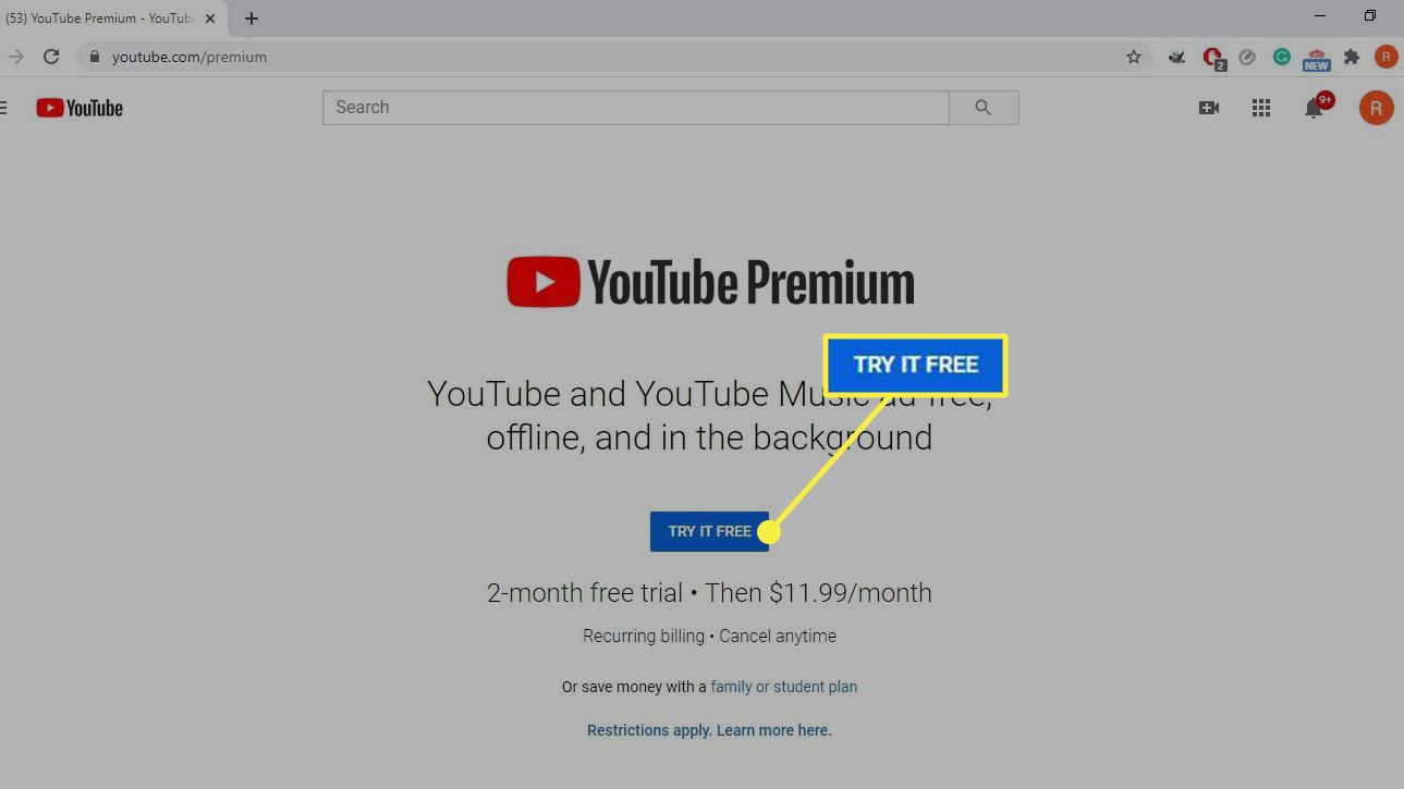 Detail Gambar Youtube Premium Nomer 13