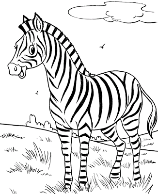 Gambar Zebra Untuk Mewarnai - KibrisPDR