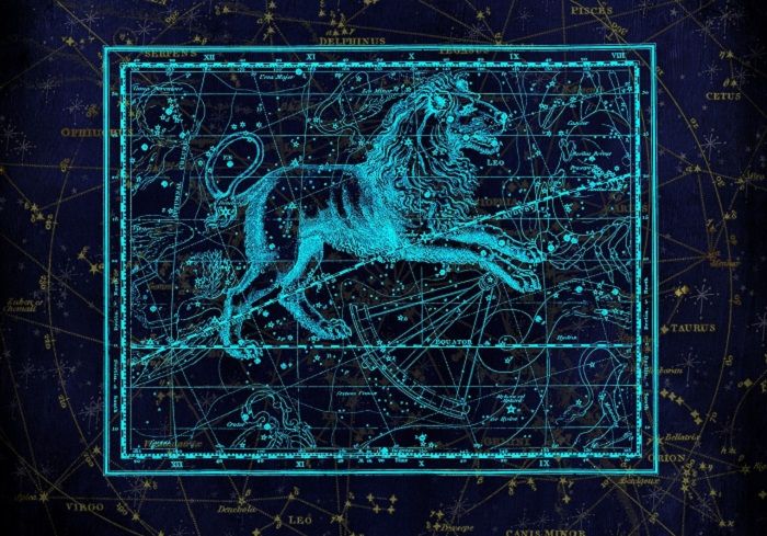 Detail Gambar Zodiak Leo Terbaru Nomer 34