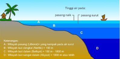 Detail Gambar Zona Laut Nomer 11