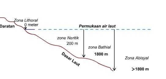 Detail Gambar Zona Laut Nomer 18