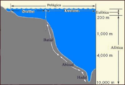 Detail Gambar Zona Laut Nomer 30