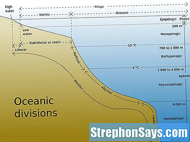 Detail Gambar Zona Laut Nomer 36