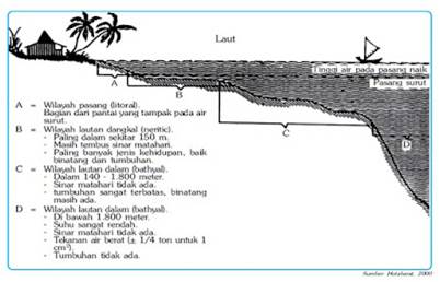 Detail Gambar Zona Laut Nomer 38