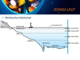 Detail Gambar Zona Laut Nomer 52