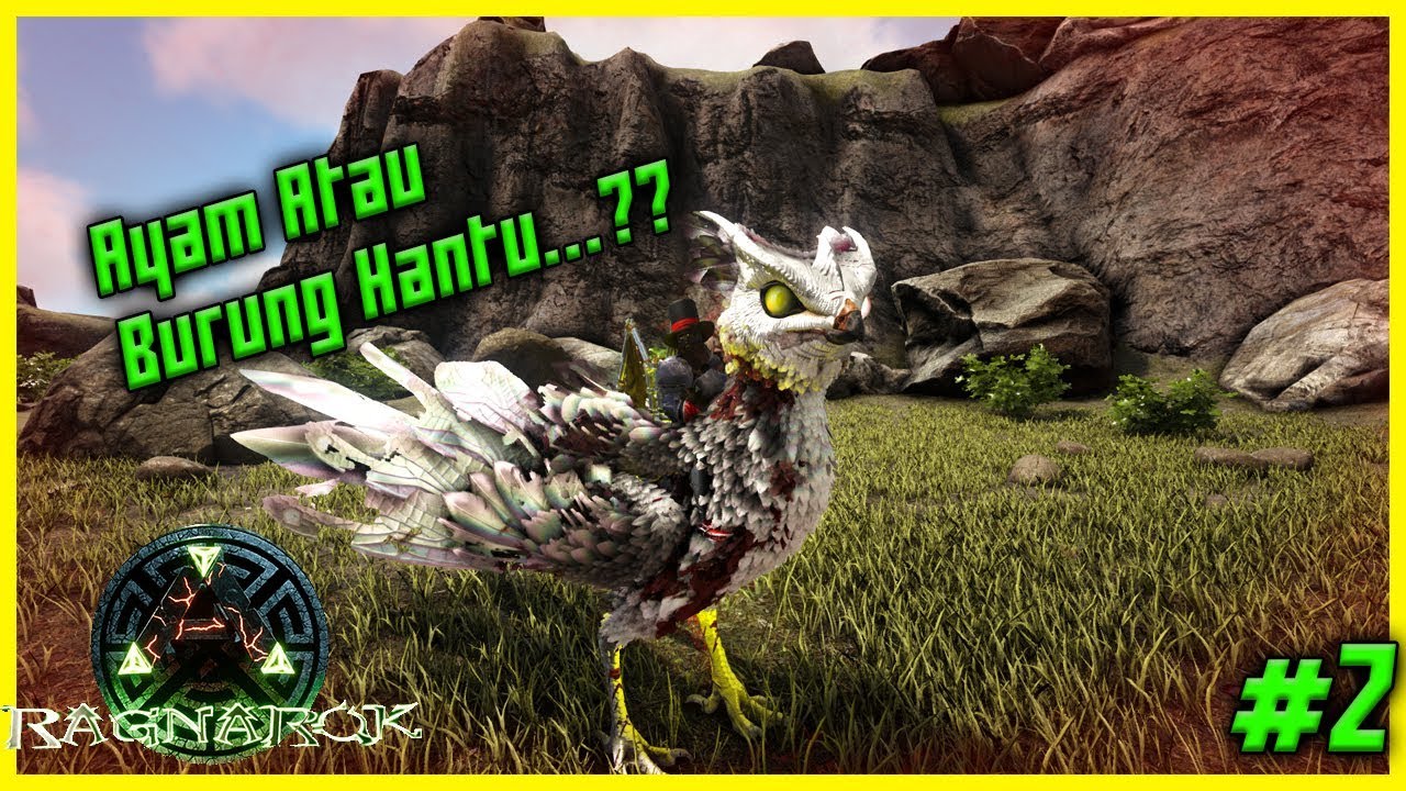 Detail Game Burung Hantu Nomer 11