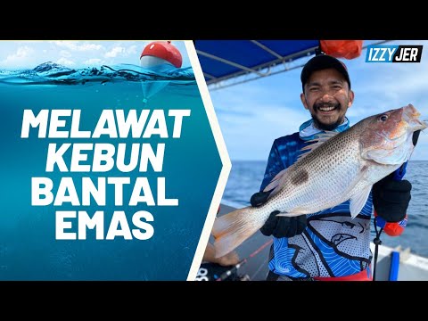 Detail Game Memancing Emas Nomer 14
