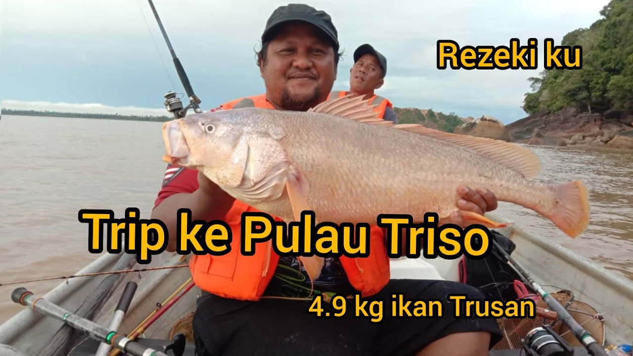 Detail Game Memancing Emas Nomer 15