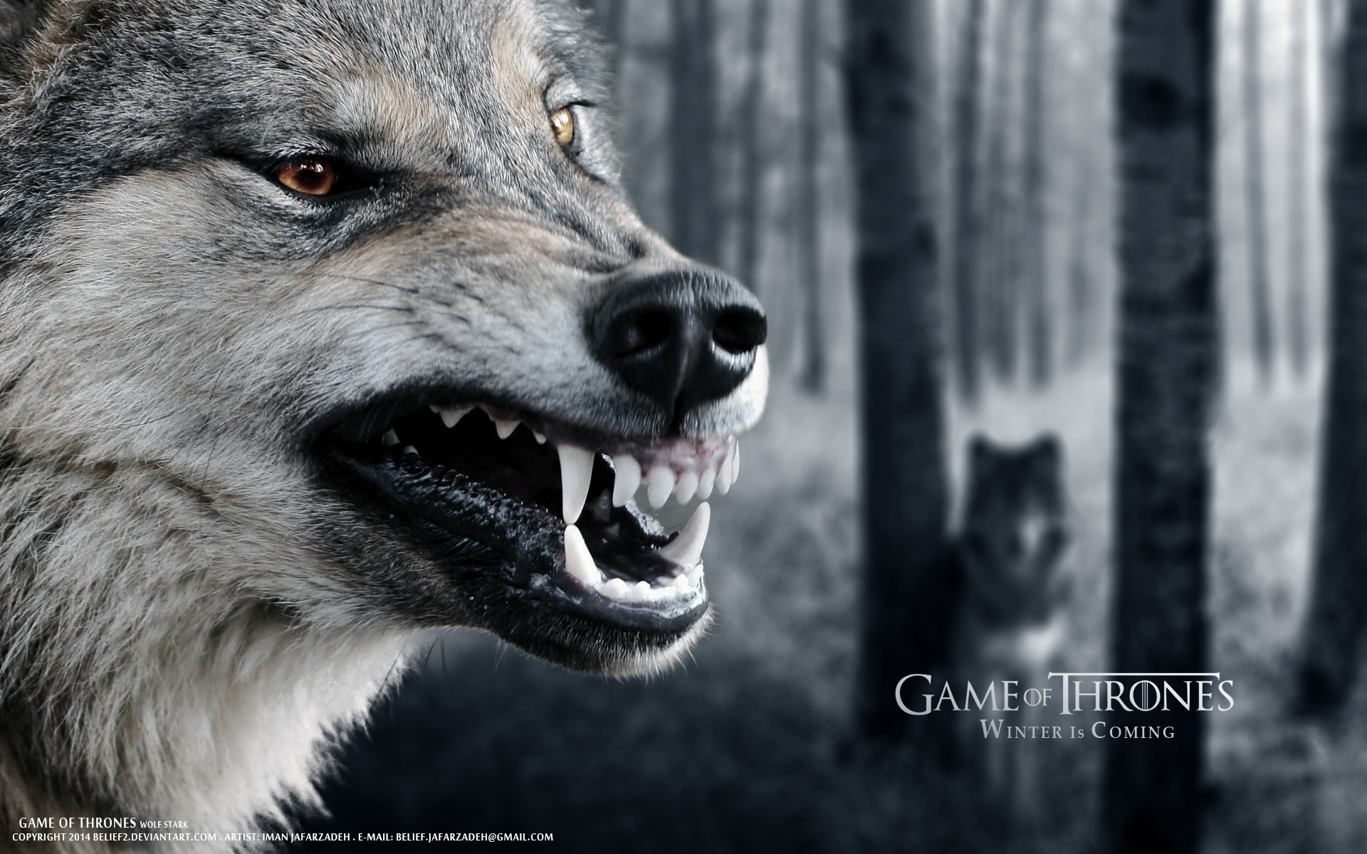 Detail Game Of Thrones Wolf Nomer 30