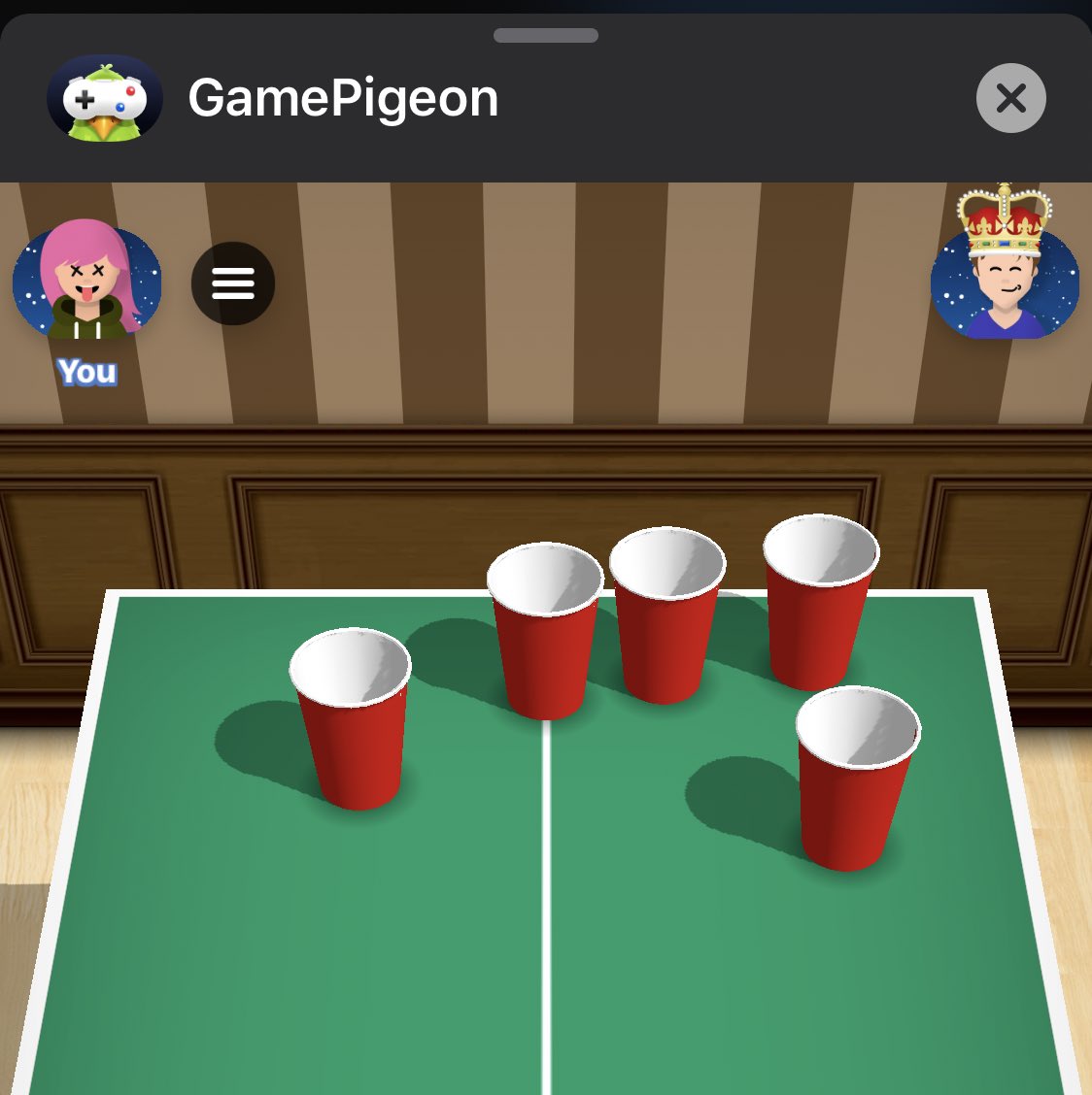 Detail Game Pigeon Cup Pong Nomer 24