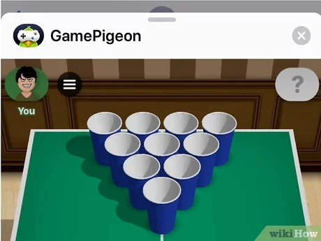 Detail Game Pigeon Cup Pong Nomer 5