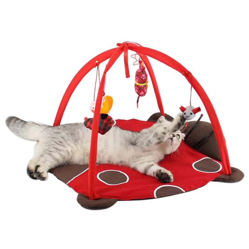 Detail Game Rumah Kucing Nomer 27