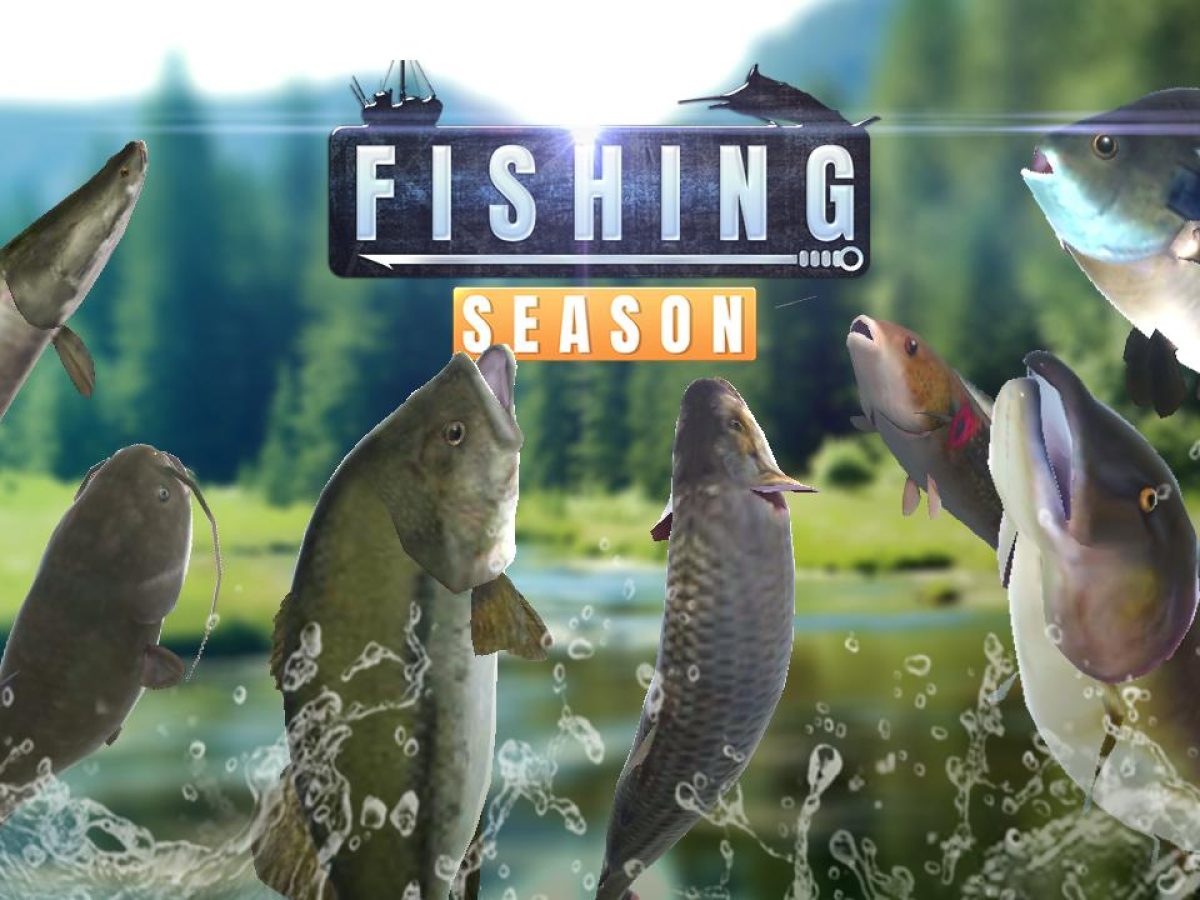 Detail Games Memancing Ikan Lele Nomer 31