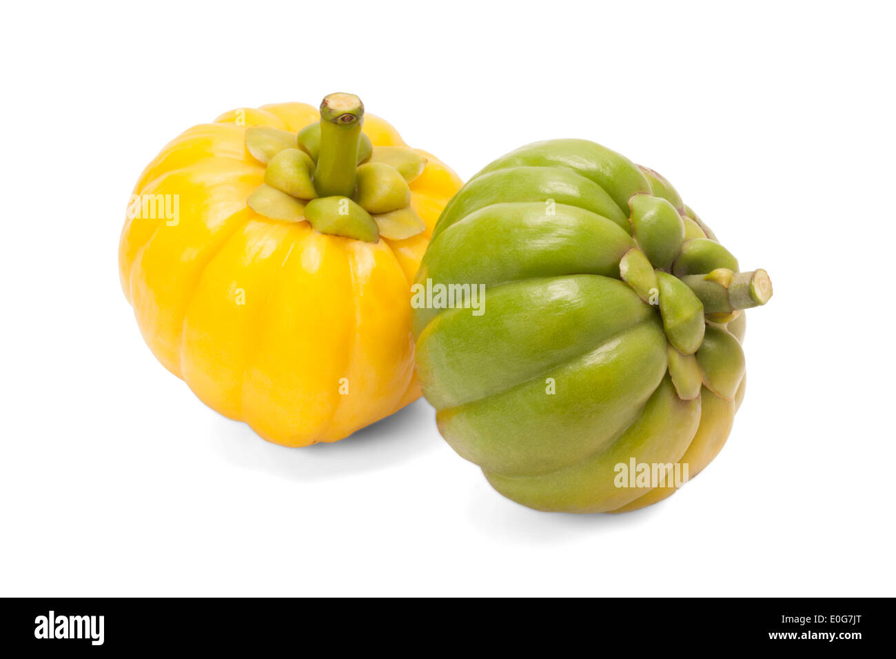 Detail Garcinia Cambogia Adalah Asam Gelugur Nomer 17