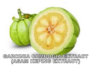 Detail Garcinia Cambogia Adalah Asam Gelugur Nomer 19