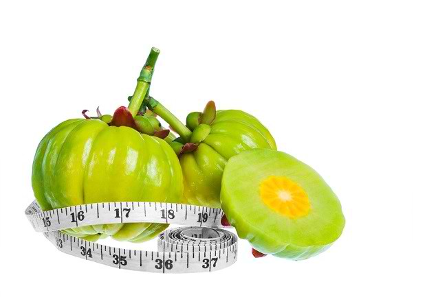 Detail Garcinia Cambogia Adalah Asam Gelugur Nomer 22