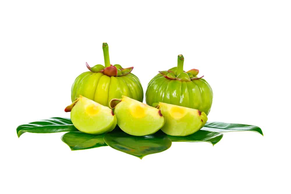 Detail Garcinia Cambogia Adalah Asam Gelugur Nomer 41