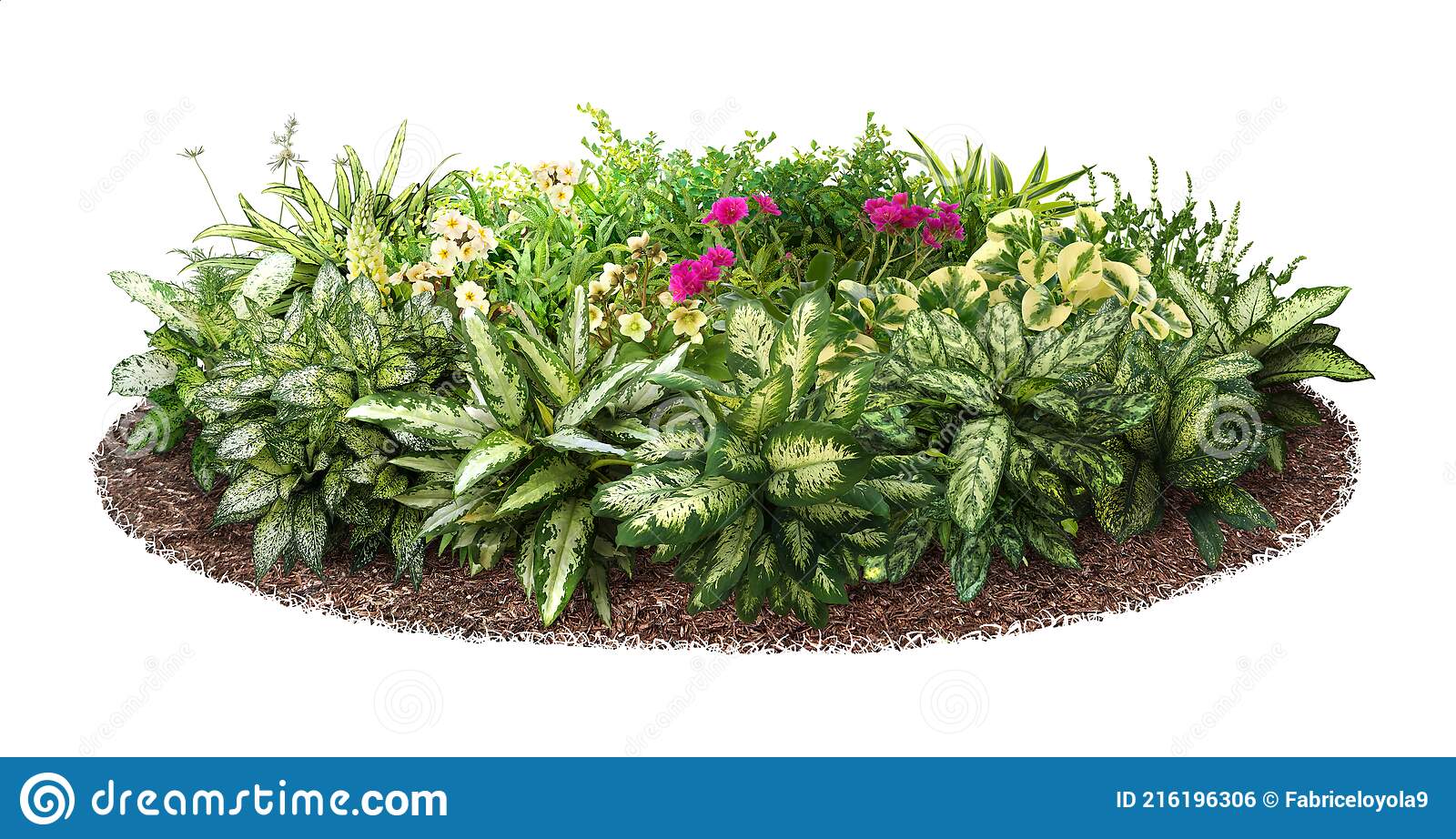 Detail Garden Plants Png Nomer 22