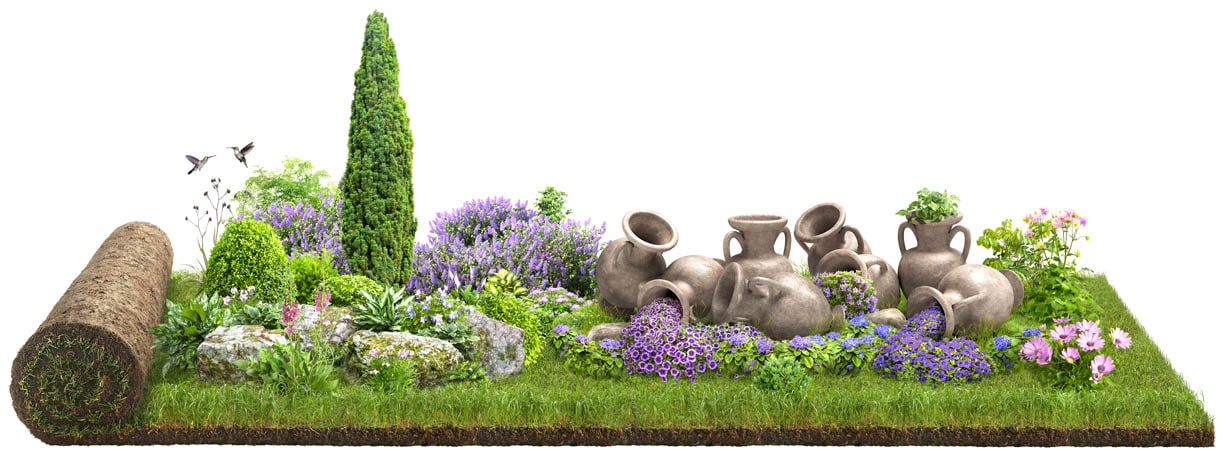 Detail Garden Plants Png Nomer 43