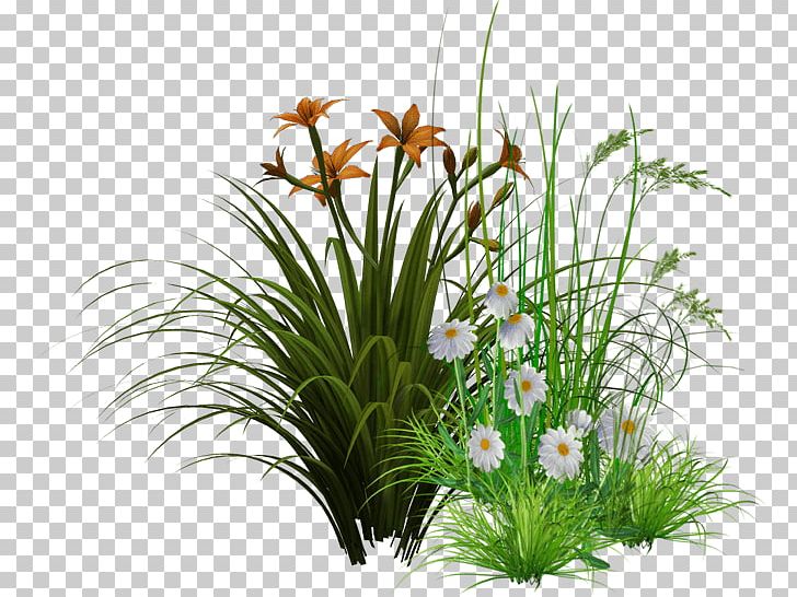 Detail Garden Png Nomer 23