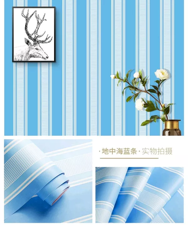 Detail Garis Biru Putih Nomer 13