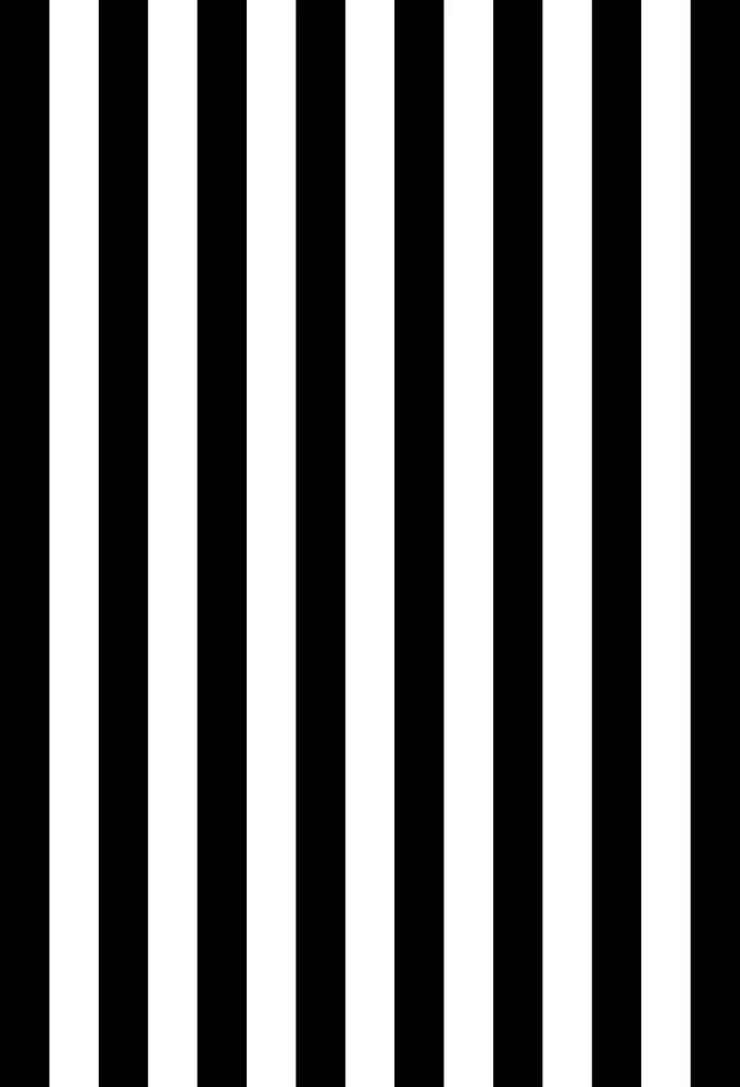 Detail Garis Hitam Putih Nomer 8