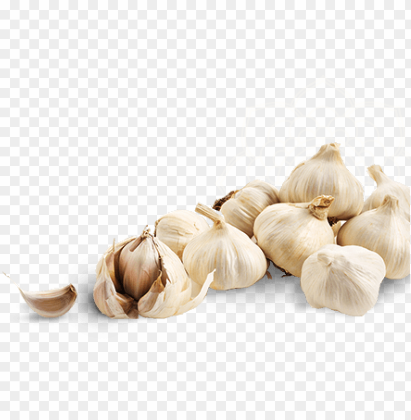 Detail Garlic Background Nomer 25
