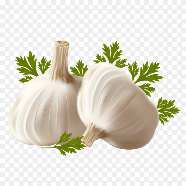 Detail Garlic Background Nomer 41