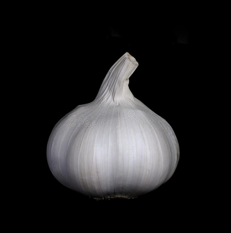 Detail Garlic Background Nomer 44