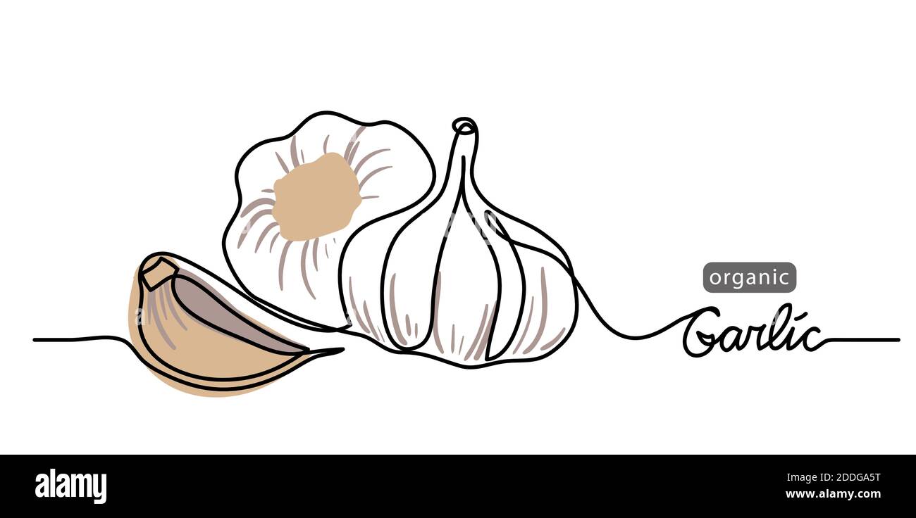 Detail Garlic Background Nomer 47