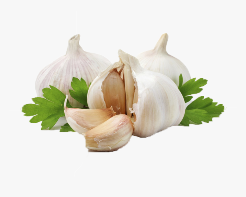 Detail Garlic Background Nomer 53
