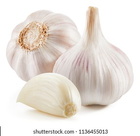 Detail Garlic Images Nomer 18