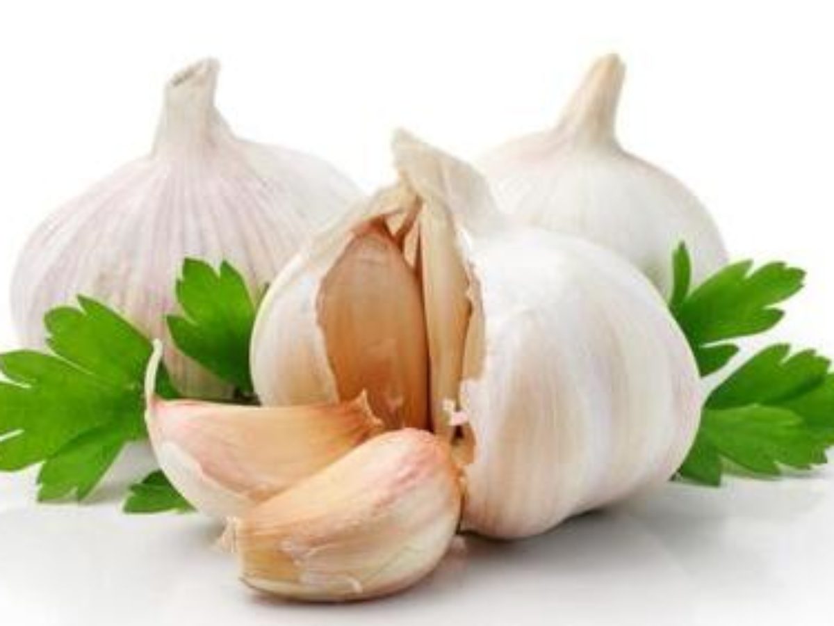 Detail Garlic Images Nomer 60