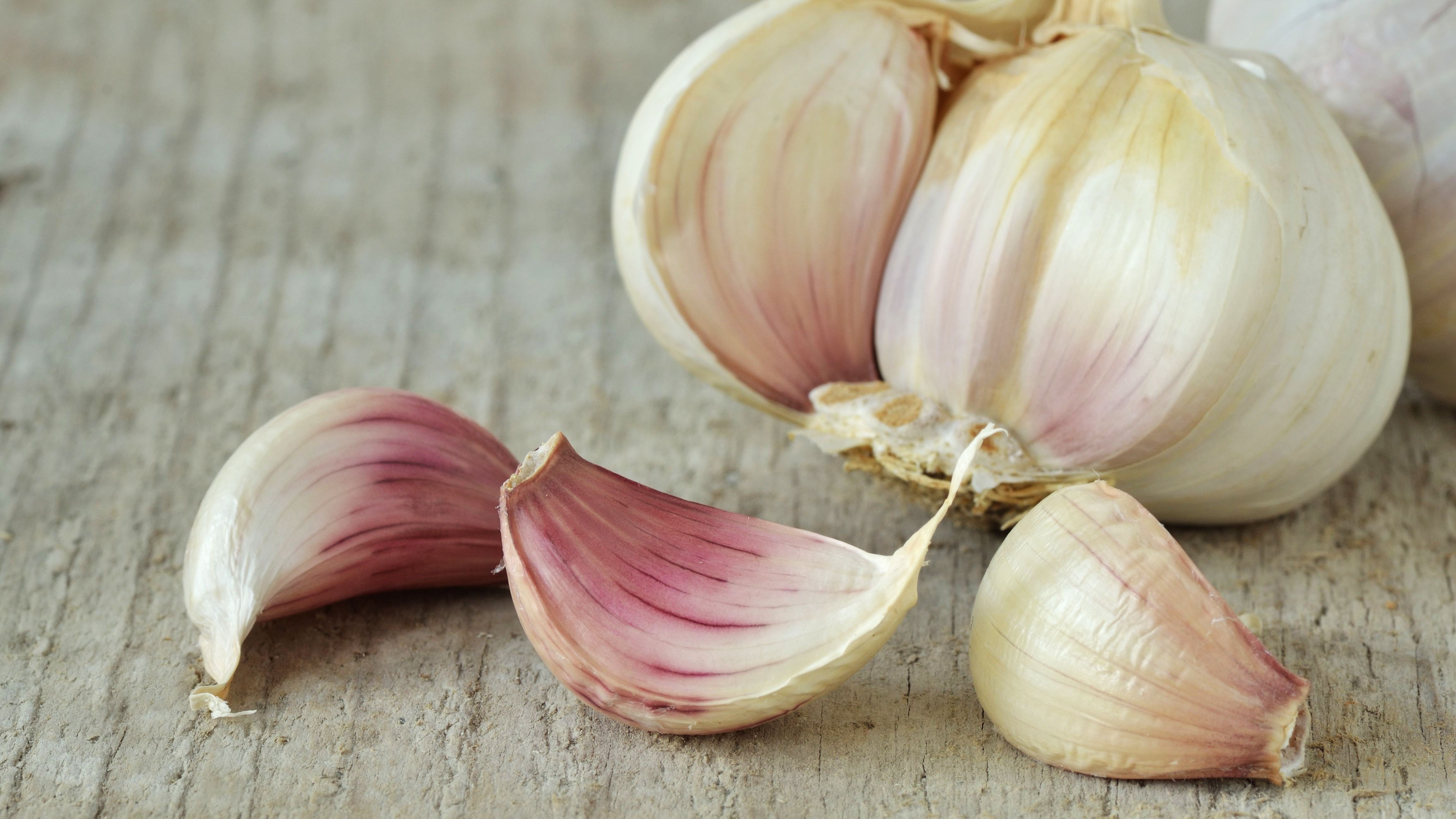 Detail Garlic Images Nomer 10