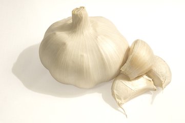 Detail Garlic Images Free Nomer 12