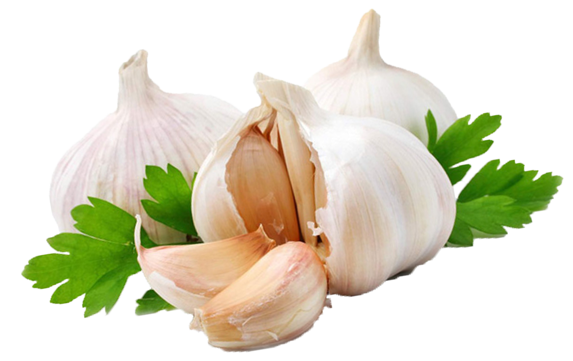 Detail Garlic Images Free Nomer 17