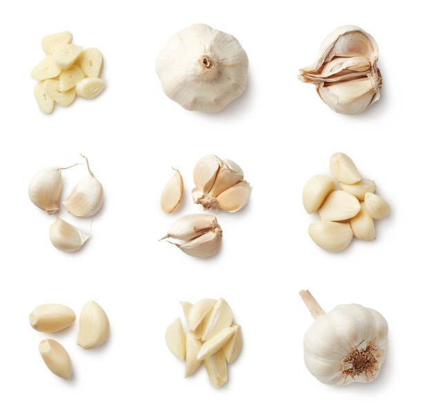 Detail Garlic Images Free Nomer 23