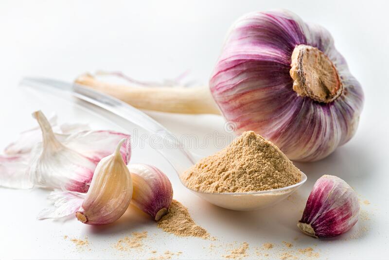 Detail Garlic Images Free Nomer 51