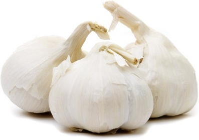 Detail Garlic Images Free Nomer 10