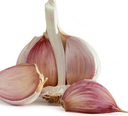Detail Garlic Picture Nomer 10
