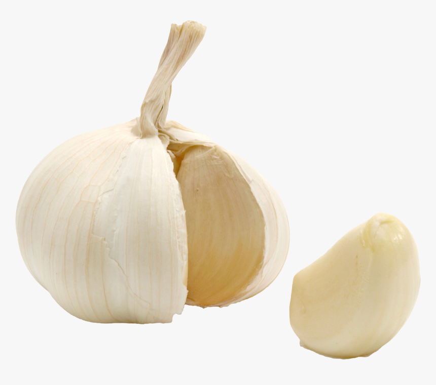 Garlic Transparent - KibrisPDR