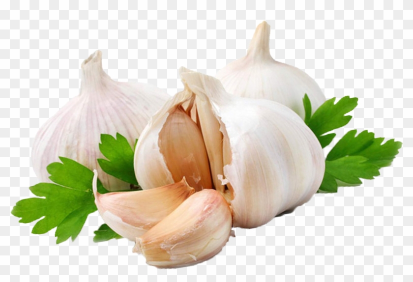 Detail Garlic Transparent Nomer 22