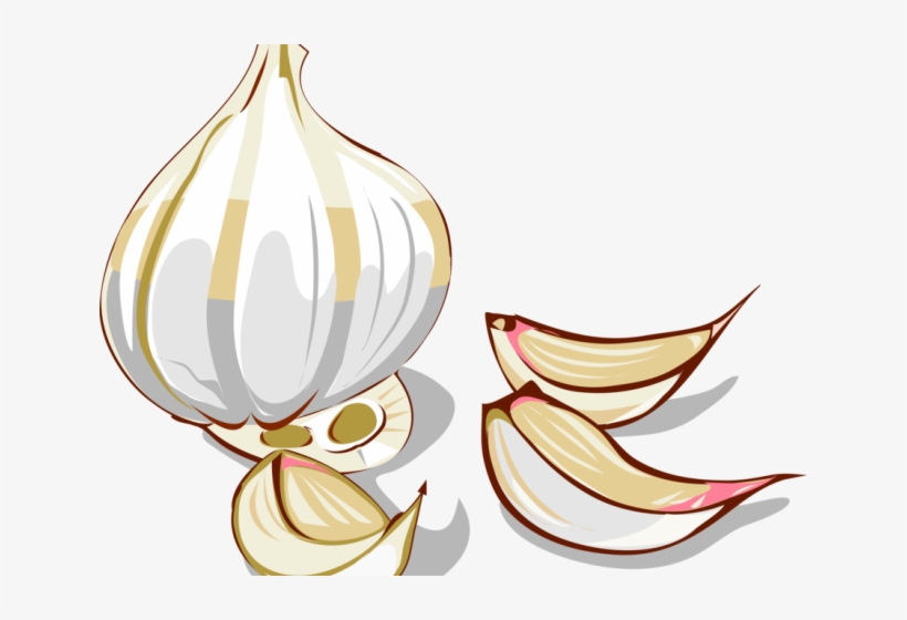 Detail Garlic Transparent Nomer 44