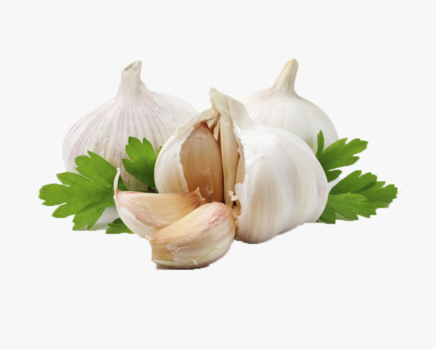 Detail Garlic Transparent Background Nomer 12